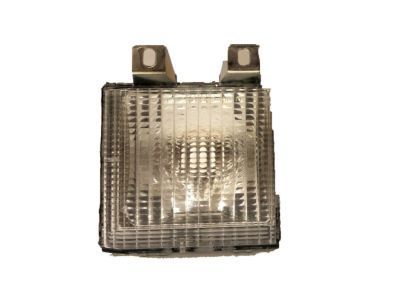 GM 918046 Lamp Assembly, Parking