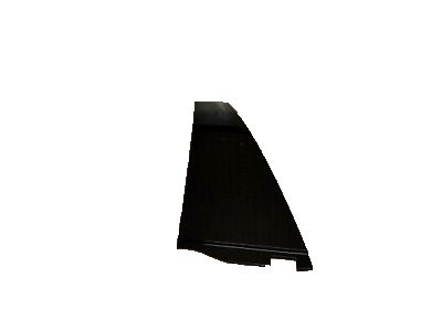 GM 15199293 Molding Assembly, Rear Side Door *Black W/Top Groove/Brigh