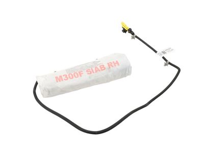 GM 95381390 Front Seat Outboard Seat Back Airbag Assembly 95381390 GM Front Seat Outboard Seat Back Airbag Assembly Product Photo 1 of 3
