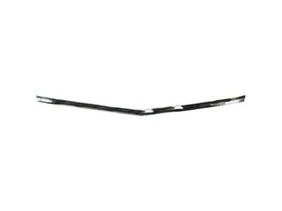 GM 20821304 Molding Assembly, Hood Front