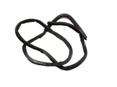 2002 Chevrolet Monte Carlo Door Seal - 10419497