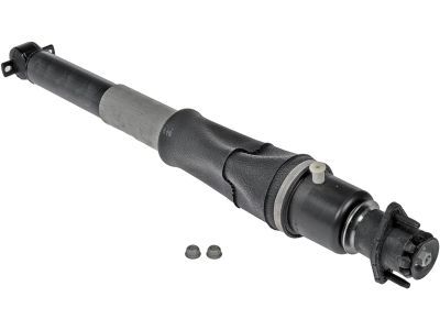 Pontiac Shock Absorber - 19300025