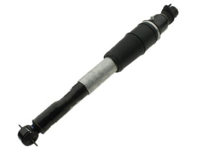 GM 19300025 Rear Leveling Shock Absorber Kit