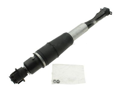 GM 19300025 Rear Leveling Shock Absorber Kit