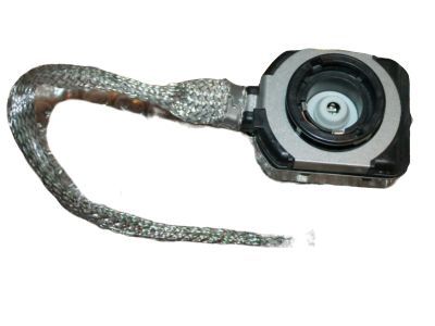 Cadillac Igniter - 25906888