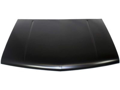 GM 15646490 Hood