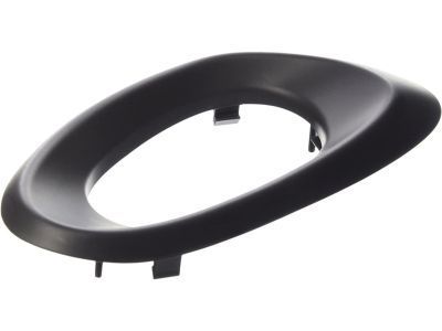 GM 15214502 Bezel,Front Side Door Inside Handle