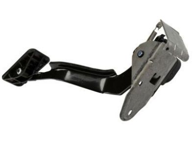 GM 15177923 Pedal,Accelerator(W/Module & Position Sensor)