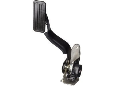 GM 15177923 Pedal,Accelerator(W/Module & Position Sensor)