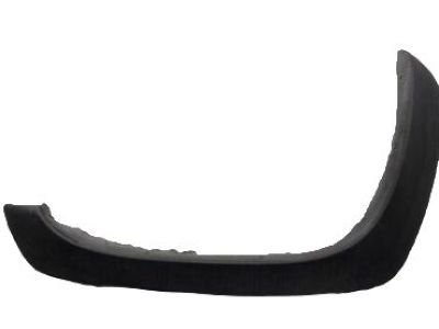 GM 10374850 Flare,Front Fender