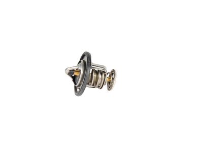 91176904 GM Engine Coolant Thermostat Product Photo 1 of 1