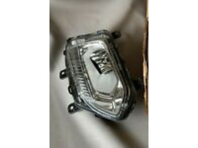 GM 22982315 Lamp Assembly, Front Side Marker