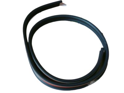 GM 15709813 Weatherstrip - Front & Rear Side Door Upper Auxiliary