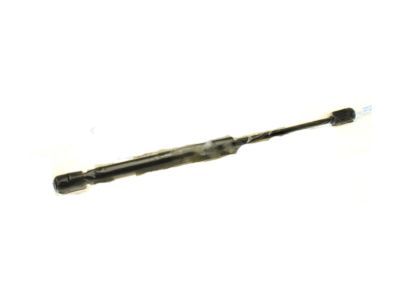 Chevrolet Trunk Lid Lift Support - 15843995