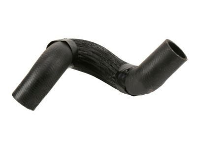 2006 Chevrolet Malibu Radiator Hose - 15891668