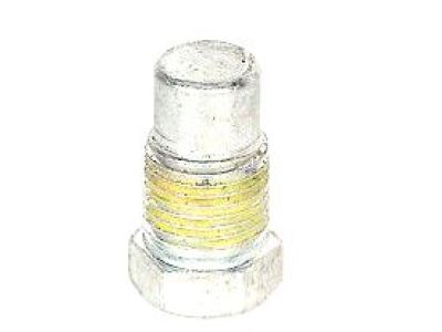 GM 10110897 Plug,Cyl Head Oil Gallery