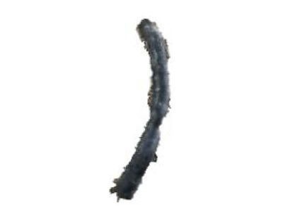 1999 Buick Lesabre Cooling Hose - 25536076