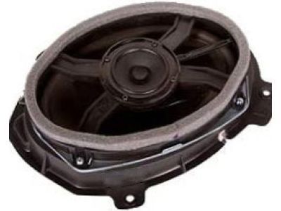 GM 15824053 Speaker Assembly, Radio Rear