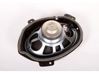 GM 15824053 Speaker Assembly, Radio Rear