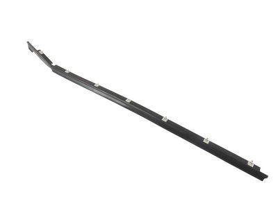 Pontiac Firebird Door Seal - 10284222