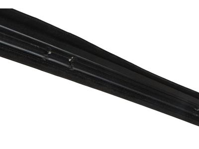 Pontiac Firebird Door Seal - 10284222