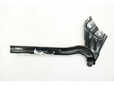 GM 23353486 Hinge Assembly, Hood (Rh)