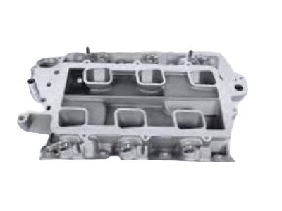GM 24508923 Manifold Assembly, Lower Intake