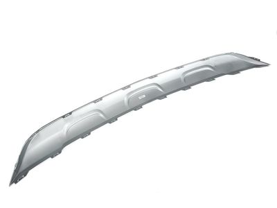 42536907 GM Plate, Front Bumper Fascia Skid Product Photo 2 of 2