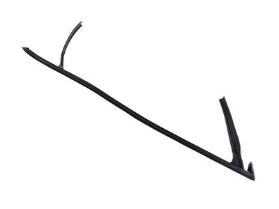 Buick LaCrosse Door Seal - 26243638