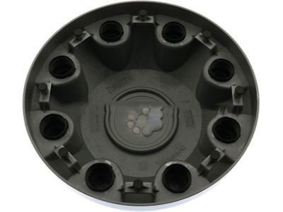 GM 9597799 Cap, Hub Wheel *Silver