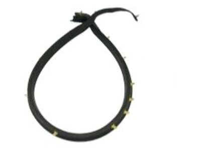 2020 Chevrolet Camaro Weather Strip - 84160283