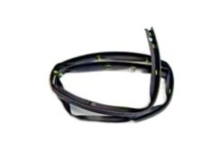 GM 25790461 Weatherstrip Assembly, Front & Rear Side Door Lower