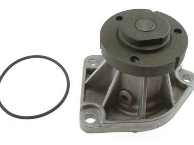 GM 55352002 Water Pump