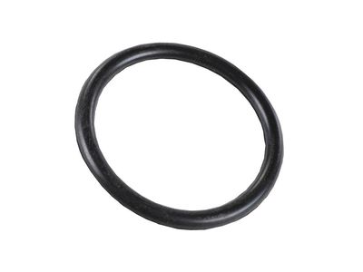 GM 42829384 SEAL-WSWA SOLV CNTNR FIL TUBE 42829384 GM SEAL-WSWA SOLV CNTNR FIL TUBE Product Photo 1 of 1