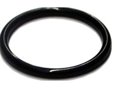 Chevrolet Express Thermostat Gasket - 94011602