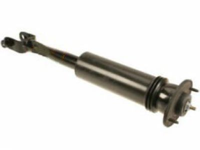 GM 15938720 Rear Shock Absorber Assembly (W/ Upper Mount)