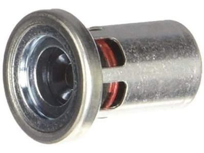 GM 25161284 Valve,Engine Oil Cooler Bypass