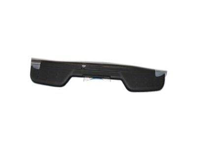 GM 15198205 Pad, Rear Bumper Step *Black