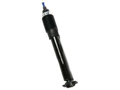 GM 19302775 Front Suspension Strut Kit