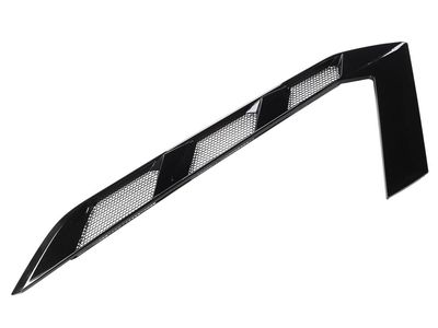 85557478 GM MOLDING ASM-L/GATE PNL VENTILATING *CARBON FLASHT Product Photo 1 of 2