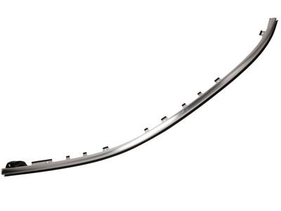 Chevrolet Equinox Door Moldings - 23193176
