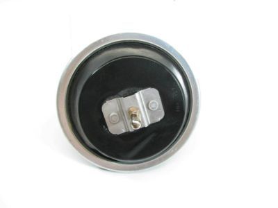 GM Cruise Control Servo - 25074873