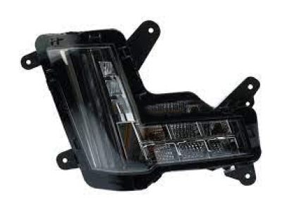 GM 84018689 Lamp Assembly, Front Side Turn Signal