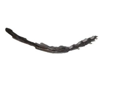 Chevrolet Colorado Weather Strip - 25956728