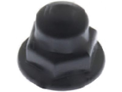 10378967 GM Cap,Windshield Wiper Arm Finish Product Photo 1 of 1