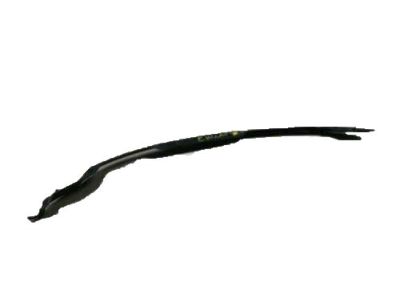 GM 23198124 Weatherstrip Assembly, Front Side Door Front Auxiliary