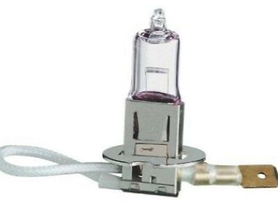 Pontiac LeMans Fog Light Bulb - 11513798