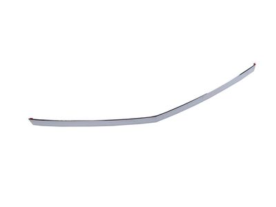 25887545 GM Molding Assembly, Hood Front Product Photo 2 of 3