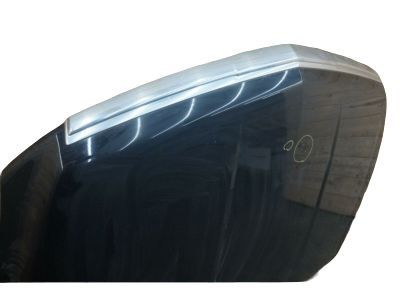 GM 84099793 Hood Asm