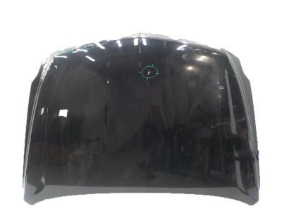 GM 84099793 Hood Asm